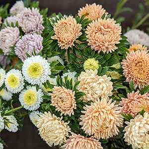 Fleurs - 10-fleur.jpg