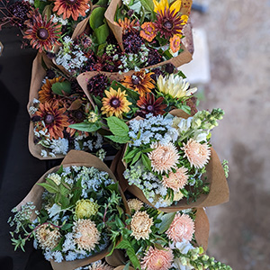 Fleurs - 12-fleur.jpg
