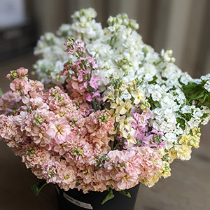 Fleurs - 14-fleur.jpg