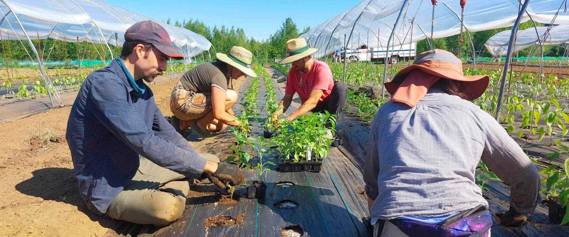 Coopérative fermière La Charrette