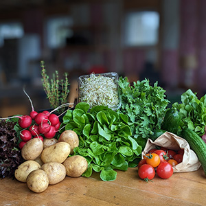 Mosaïque photo 1-legumes-2.jpg