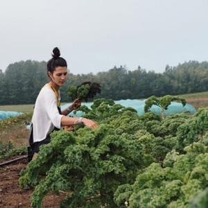 Mosaïque photo 10-kale-recolte.jpg