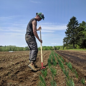 Mosaïque photo 4-binette.jpg