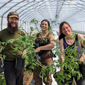 Mosaïque photo 7-serre.jpg