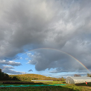 Mosaïque photo arc-en-ciel.jpg