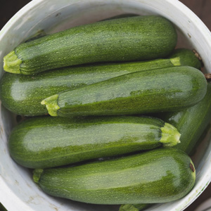 Mosaïque photo courgettes.jpg