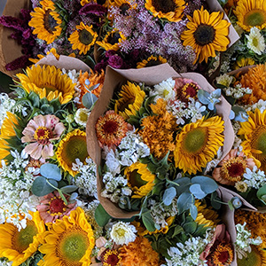 Mosaïque photo fleur-2.jpg