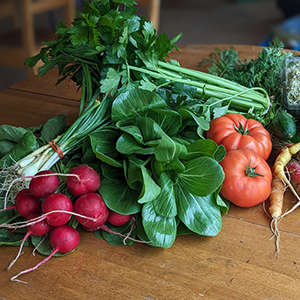 Mosaïque photo legumes.jpg
