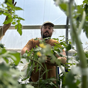 Mosaïque photo serre-tomattes.jpg