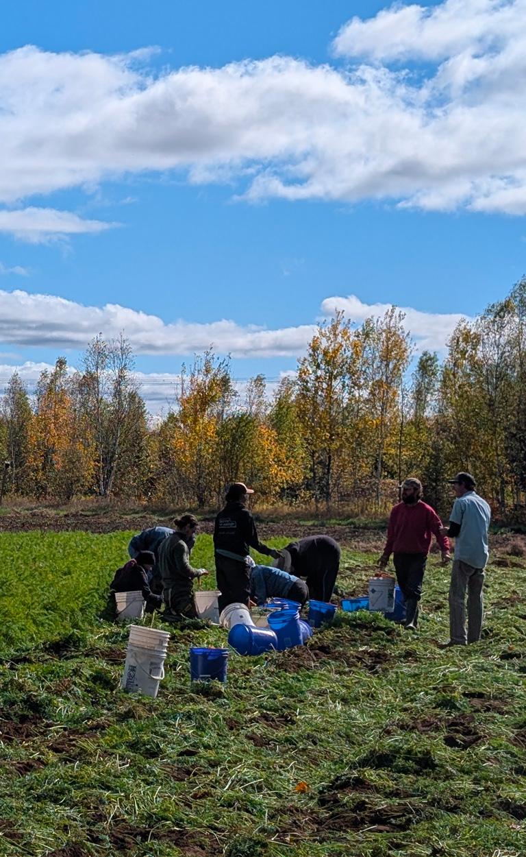 Équipe Coopérative fermière La Charrette
