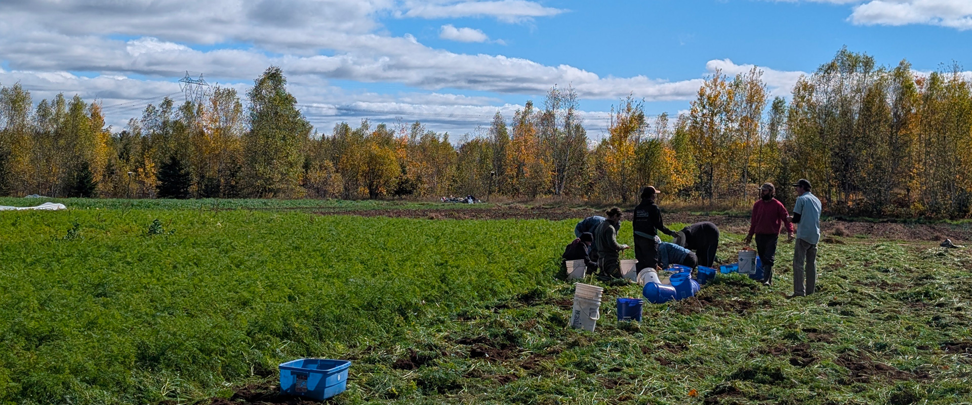 Équipe Coopérative fermière La Charrette