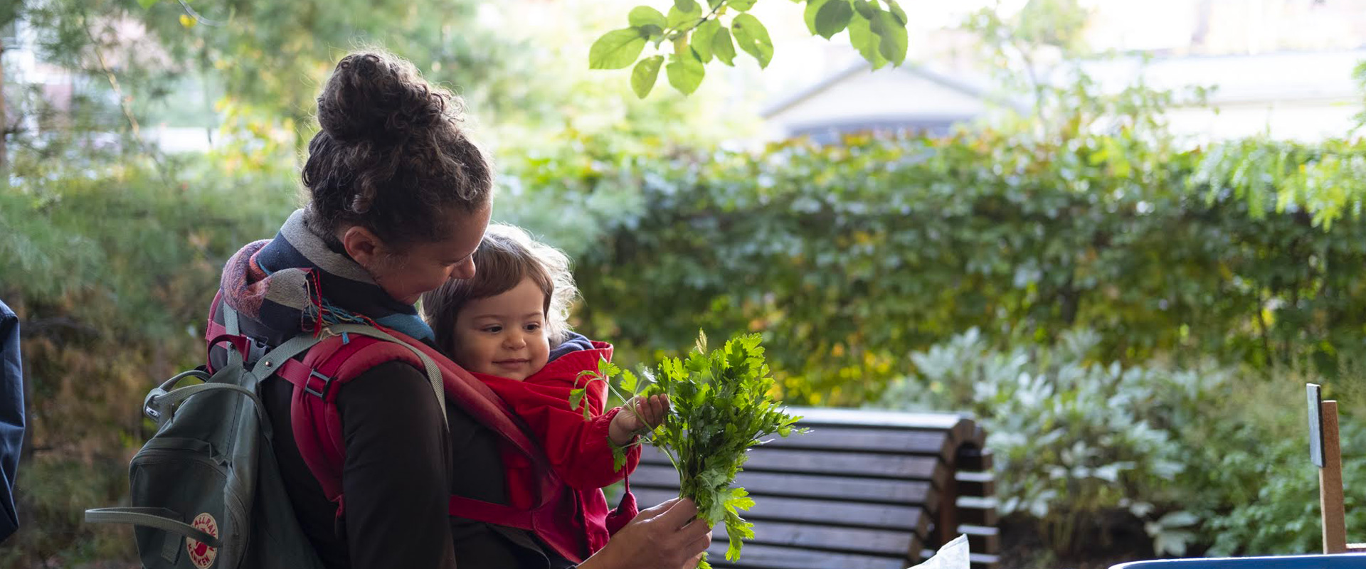 Paniers solidaires de La Charrette