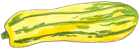 Courge pictogramme