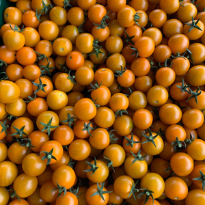 Restaurants - tomates-cerises-jaune.jpg